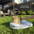 CloudCool™ Pet Lounger