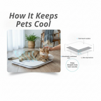 CloudCool™ Pet Lounger