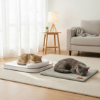 All-Season Comfort Bundle
