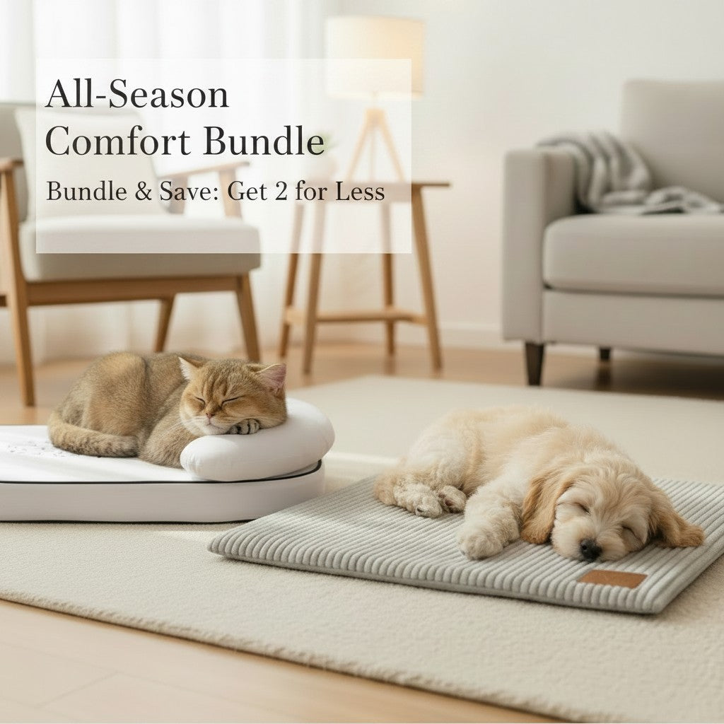 All-Season Comfort Bundle